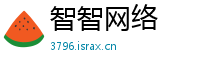 智智网络